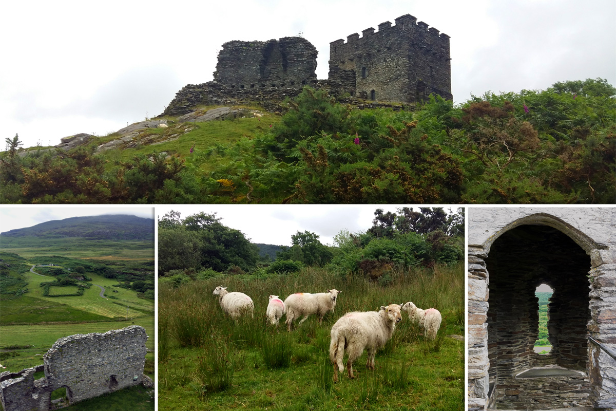 castle dolwyddelan